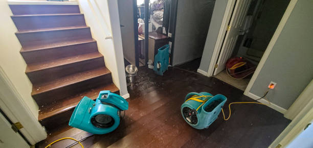 Best Water damage contractors near me  in Mcgregor, TX