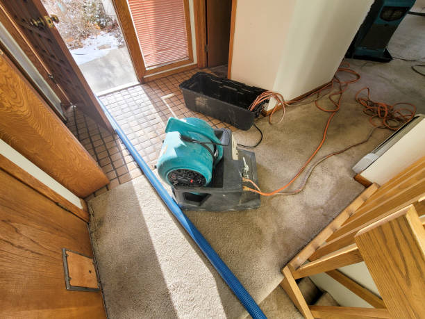 Best Flooded house restoration  in Mcgregor, TX