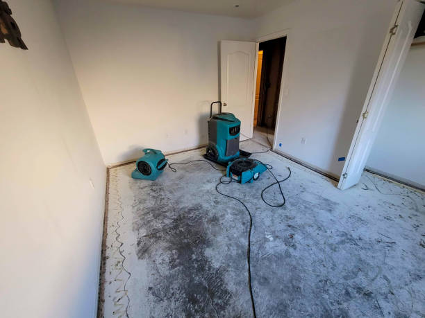 Best Mold removal after water damage  in Mcgregor, TX