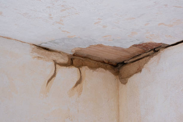 Best Residential water damage restoration  in Mcgregor, TX