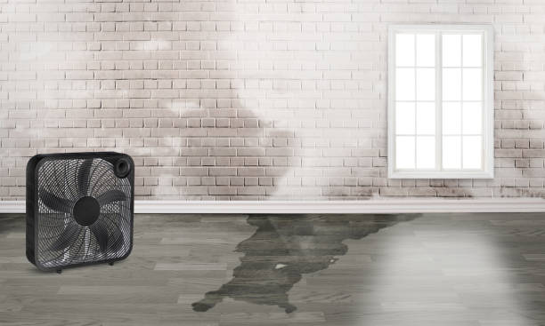 Best 24/7 water damage repair  in Mcgregor, TX