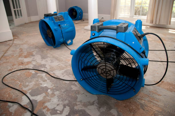 Best Emergency water extraction  in Mcgregor, TX