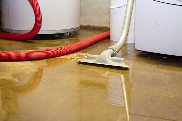 Best Flood damage cleanup  in Mcgregor, TX